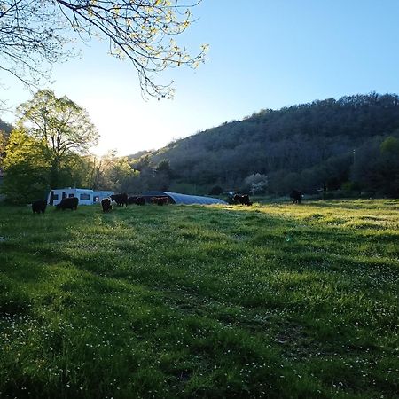 Ferme Les Therondels Saint-Pons-de-Thomieres Εξωτερικό φωτογραφία