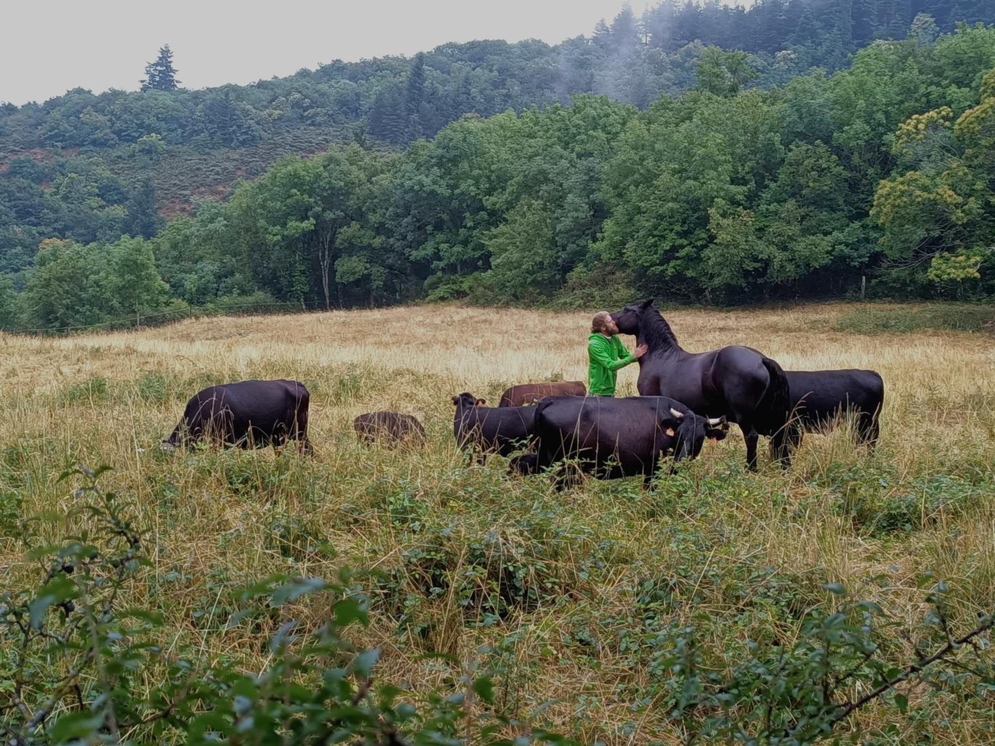Ferme Les Therondels Saint-Pons-de-Thomieres Εξωτερικό φωτογραφία