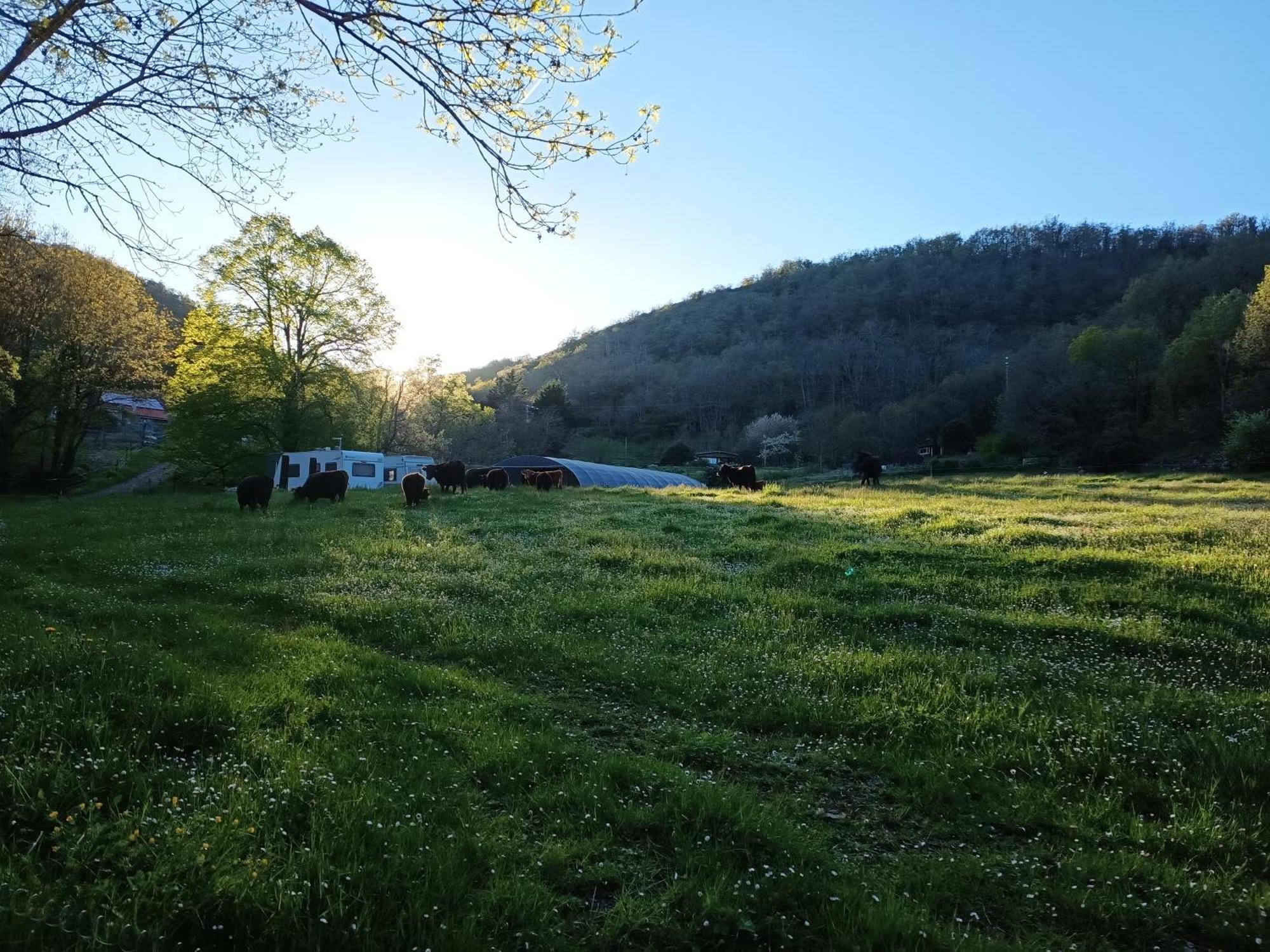 Ferme Les Therondels Saint-Pons-de-Thomieres Εξωτερικό φωτογραφία